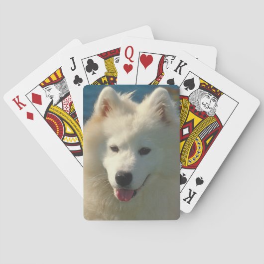 Samoyed Dog-speelkaarten Pokerkaarten (Achterkant)