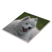 Samoyed Dog Tile Tegeltje (Zijkant)