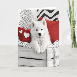 Samoyed Dog Valentijn Kaart