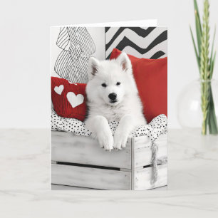 Samoyed Dog Valentijn Kaart