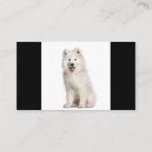 Samoyed Dogs Breeder Pet Sitter Visitekaartje (Achterkant)