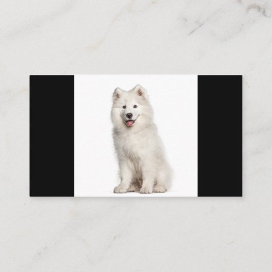Samoyed Dogs Breeder Pet Sitter Visitekaartje (Achterkant)