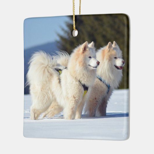 Samoyed Dogs in de sneeuw Keramisch Ornament (Links)