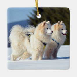 Samoyed Dogs in de sneeuw Keramisch Ornament