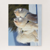 Samoyed Dogs in de sneeuw Legpuzzel (Verticaal)