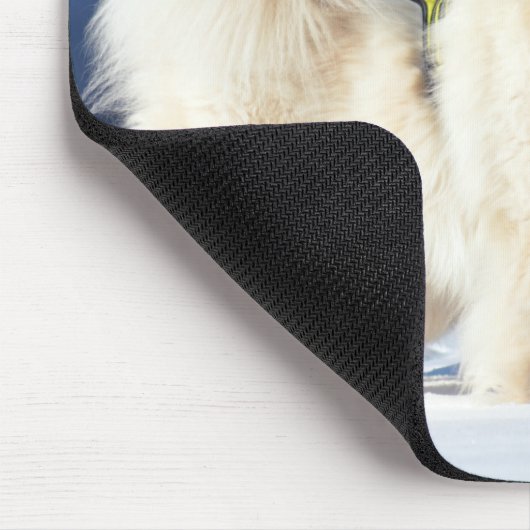 Samoyed Dogs in de sneeuw Muismat (Hoek)