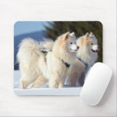 Samoyed Dogs in de sneeuw Muismat (Met muis)