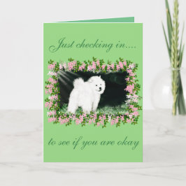Samoyed Enmoegement Wenskaart;Design van Lee Kaart