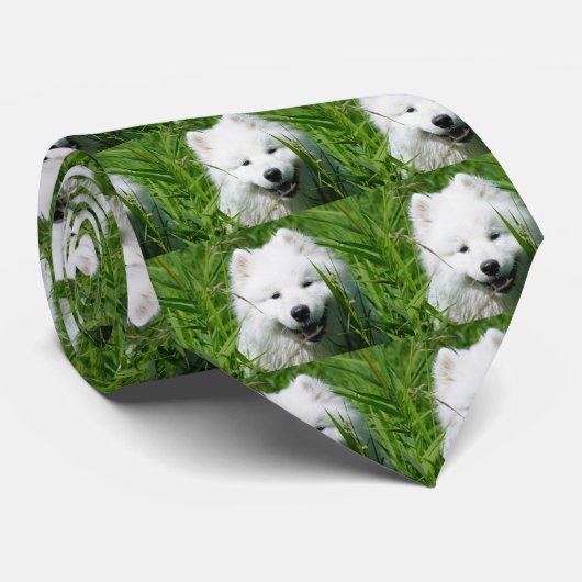 Samoyed Face Tie Stropdas (Opgerold)