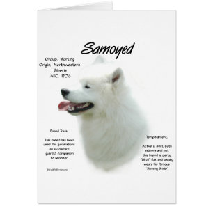 Samoyed Gesloten Ontwerp