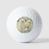 Samoyed Golfballen (Voorkant)