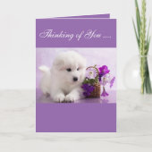Samoyed Greeting Card; Thinking of You Kaart (Voorkant)