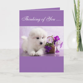 Samoyed Greeting Card; Thinking of You Kaart