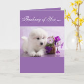 Samoyed Greeting Card; Thinking of You Kaart (Gele Bloem)