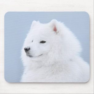 samoyed hond muismat