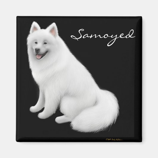 Samoyed hondenmagneet magneet (Voorkant)