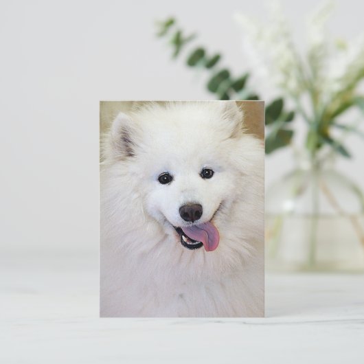 Samoyed Hondenras Briefkaarten (Staand voorkant)
