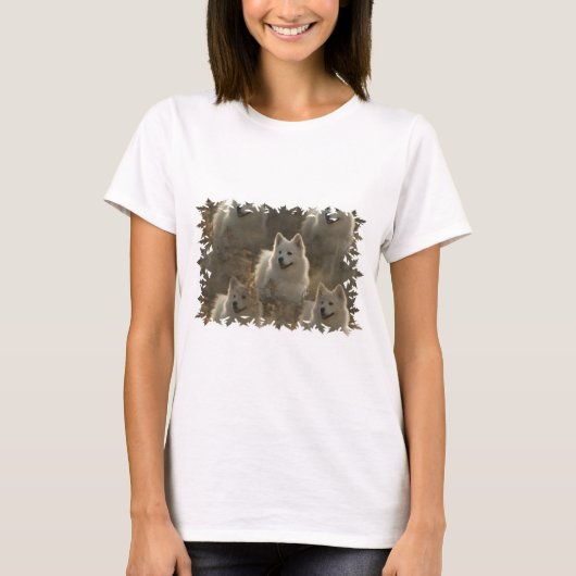 Samoyed Hondenras lange hoes T-shirt (Voorkant)