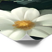 Samoyed In Bathtub Poster, Funny Dog Poster (Hoek)