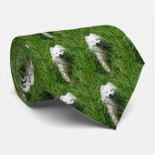 Samoyed in gras stropdas (Opgerold)