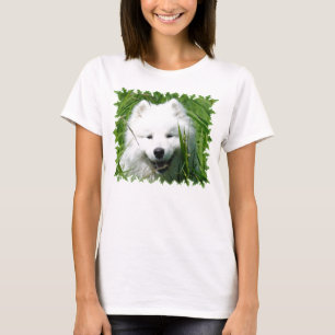 Samoyed in gras t-shirt