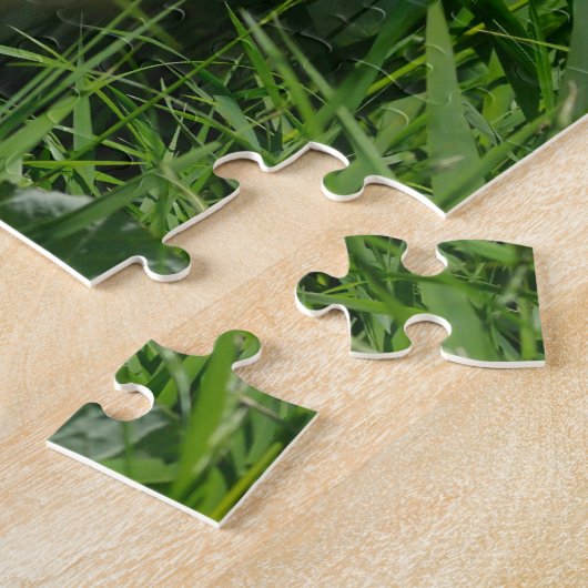 Samoyed in grass Puzzle Legpuzzel (Zijkant)