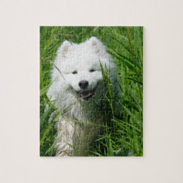 Samoyed in grass Puzzle Legpuzzel
