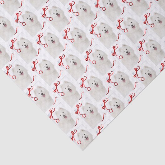 Samoyed kerstcadeaupapier tissuepapier (Detail)