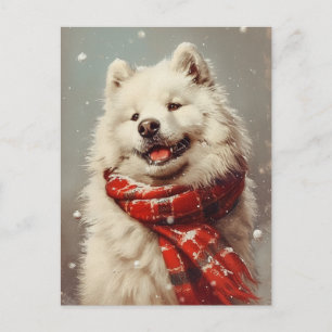 Samoyed Kerstmis Briefkaart