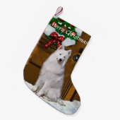 Samoyed Kerstmis Kleine Kerstsok (Voorkant (Hangend))