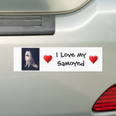Samoyed Love Bumpersticker (Op auto)