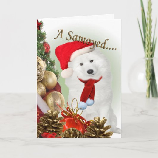 Samoyed Merry Christmas Kaart (Voorkant)