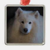 Samoyed Metalen Ornament (Voorkant)