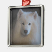Samoyed Metalen Ornament (Links)