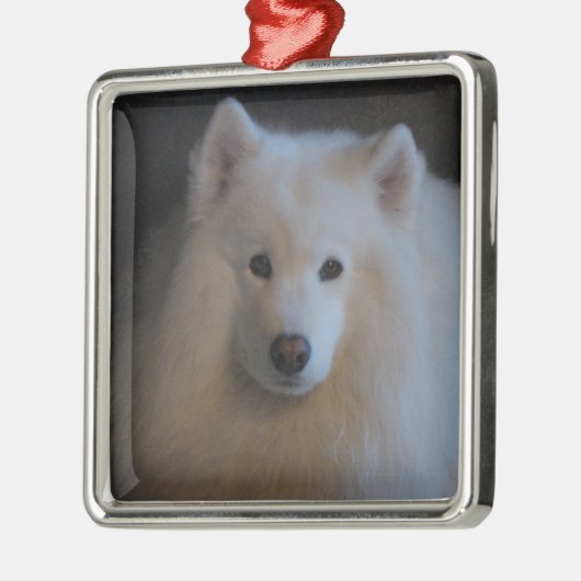 Samoyed Metalen Ornament (Links)