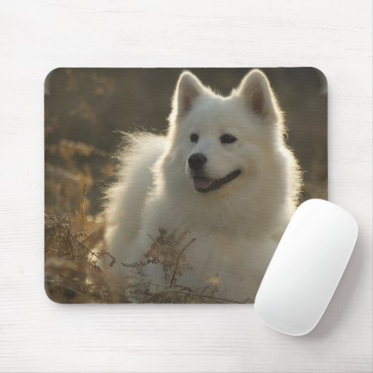 Samoyed Muismat (Met muis)