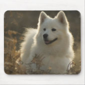 Samoyed Muismat (Voorkant)