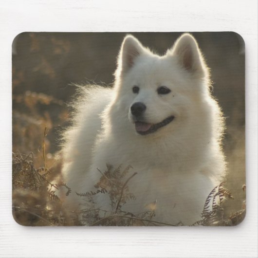 Samoyed Muismat (Voorkant)
