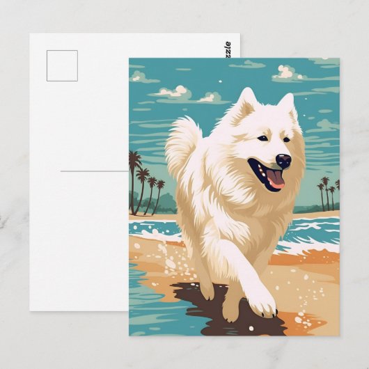 Samoyed op het strand briefkaart (Voorkant / Achterkant)
