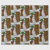 Samoyed op veranda Kerstmis Cadeaupapier (Vlak)