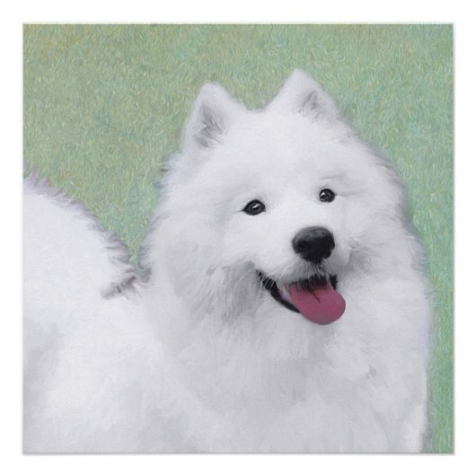 Samoyed Painting - Cute Original Dog Art Perfect Poster (Voorkant)