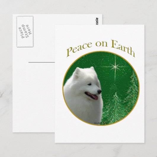Samoyed Peace Briefkaart (Voorkant / Achterkant)