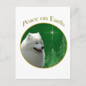 Samoyed Peace Briefkaart (Voorkant)