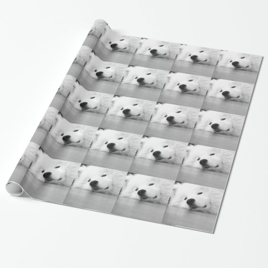 Samoyed Photo Dog White Cadeaupapier (Uitgerold)