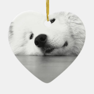 Samoyed Photo Dog White Keramisch Ornament