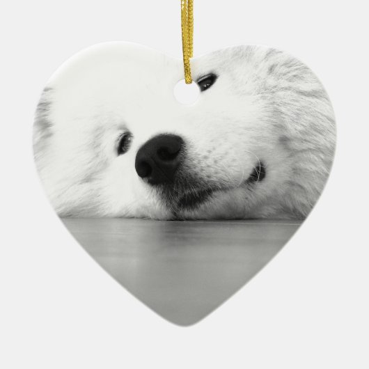 Samoyed Photo Dog White Keramisch Ornament (Voorkant)