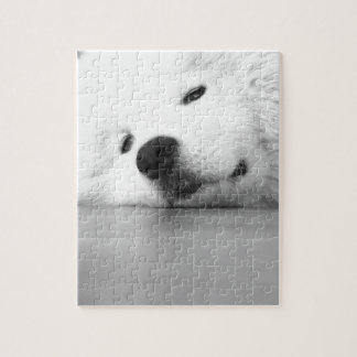 Samoyed Photo Dog White Legpuzzel