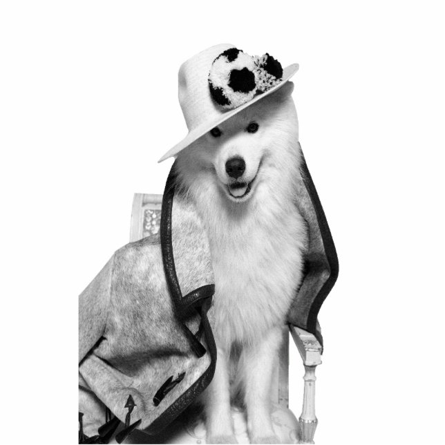 Samoyed Plv Standee Staand Fotobeeldje (Voorkant)