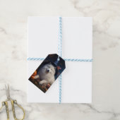 Samoyed Pompoenen Halloween Griezelen Cadeaulabel (Met Touw)