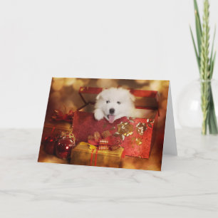 Samoyed pop in een kersttas feestdagen kaart